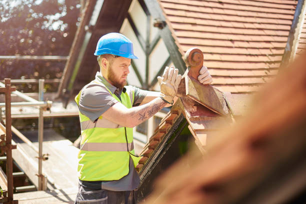 Roof Gutter Cleaning in Eagle Point, AL